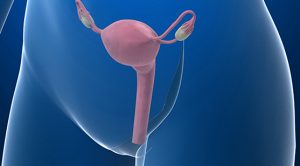 Lee más sobre el artículo Realizan trasplantes de útero en Estados Unidos