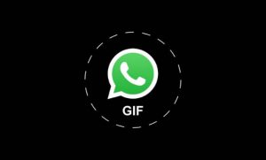 Lee más sobre el artículo WhatsApp permite enviar GIFs en IOS