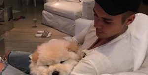 Lee más sobre el artículo Justin Bieber regaló su perro debido a que no puede cuidarlo