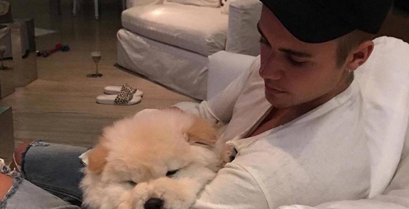 En este momento estás viendo Justin Bieber regaló su perro debido a que no puede cuidarlo