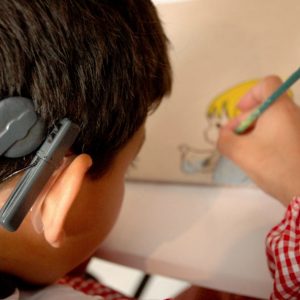 Lee más sobre el artículo Tendrá CDMX primera escuela pública para sordos