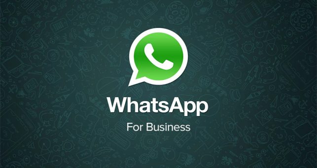 En este momento estás viendo WhatsApp Business disponible en México