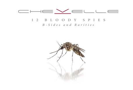 En este momento estás viendo CHEVELLE  ANUNCIA NUEVO ALBUM  12 BLOODY SPIES: B-SIDES AND RARITIES