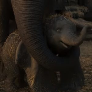 Lee más sobre el artículo Disney Studios lanzó el último trailer de “Dumbo”