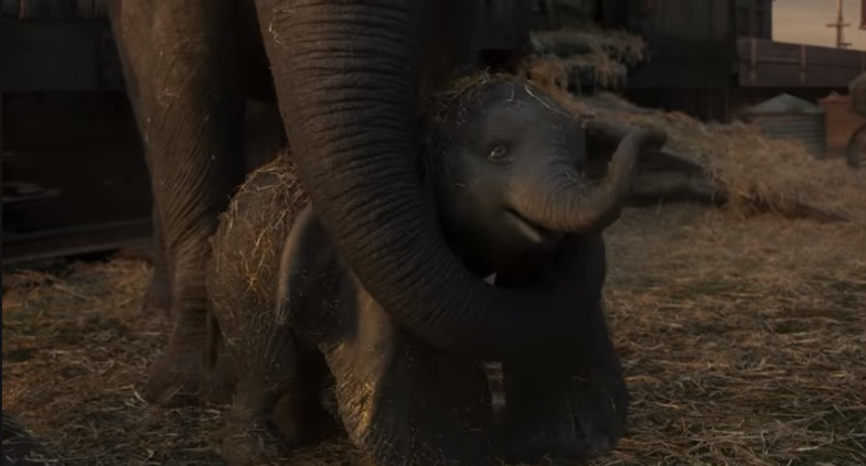 En este momento estás viendo Disney Studios lanzó el último trailer de “Dumbo”