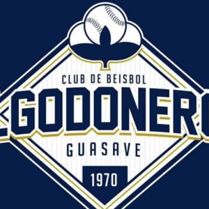 Lee más sobre el artículo ¡El béisbol regresa a Guasave!