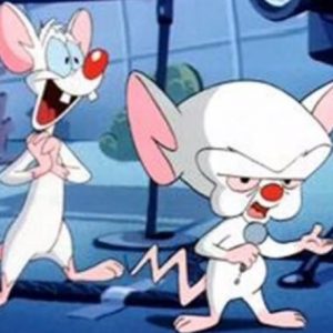 Lee más sobre el artículo Warner Bros Animation planea traer de regreso a “Pinky y Cerebro”