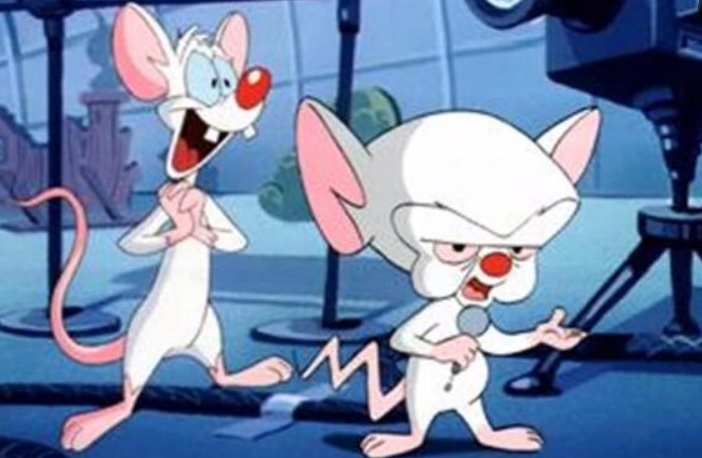 En este momento estás viendo Warner Bros Animation planea traer de regreso a “Pinky y Cerebro”