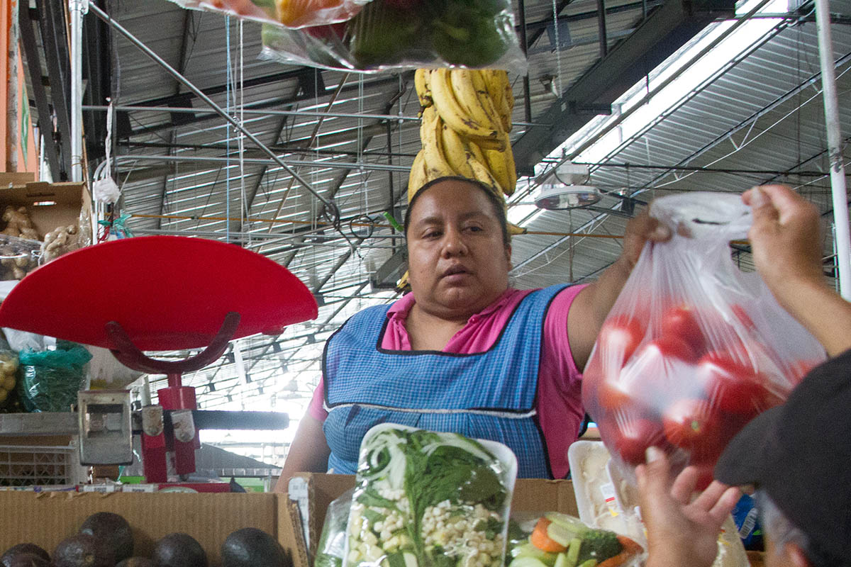 En este momento estás viendo Trabajar el campo mexicano podría revertir el alza de precios en la canasta básica: Economista