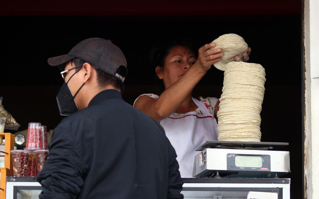 En este momento estás viendo Con incremento al salario, familias comprarán 3.5 kilos de tortillas al día, asegura funcionaria