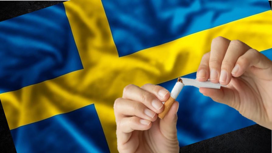 En este momento estás viendo Este sería el primer país en Europa libre de“humo de tabaco”